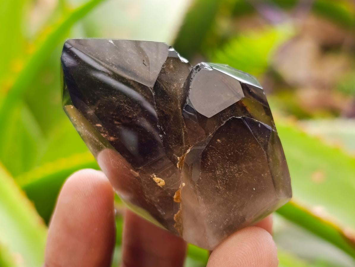 Polished Dark Morion Smokey Quartz Crystals x 12 From Madagascar - Toprock Gemstones and Minerals 