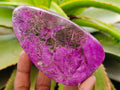 Polished Stichtite Free Forms x 6 From Barberton, South Africa - Toprock Gemstones and Minerals 