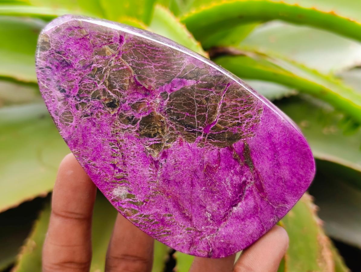 Polished Stichtite Free Forms x 6 From Barberton, South Africa - Toprock Gemstones and Minerals 