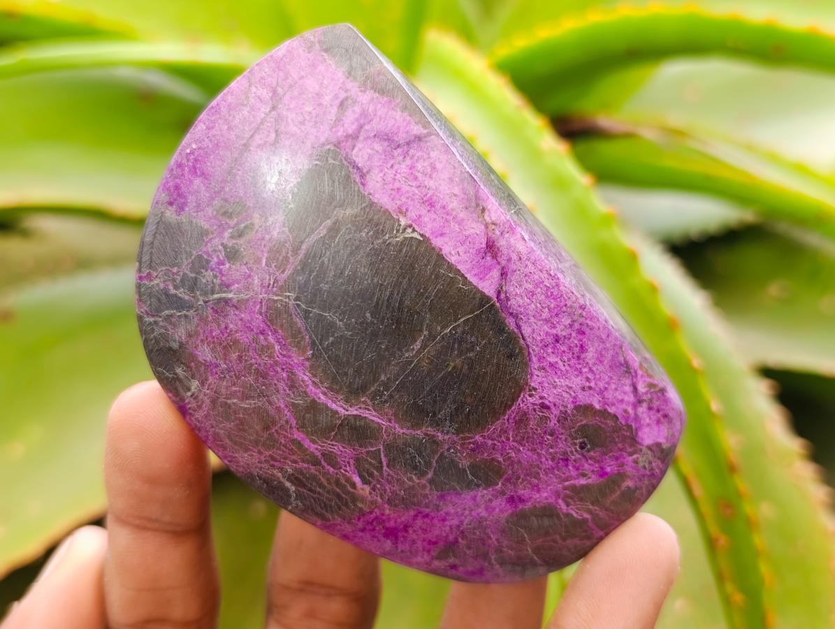 Polished Stichtite Free Forms x 6 From Barberton, South Africa - Toprock Gemstones and Minerals 