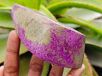 Polished Stichtite Free Forms x 6 From Barberton, South Africa - Toprock Gemstones and Minerals 