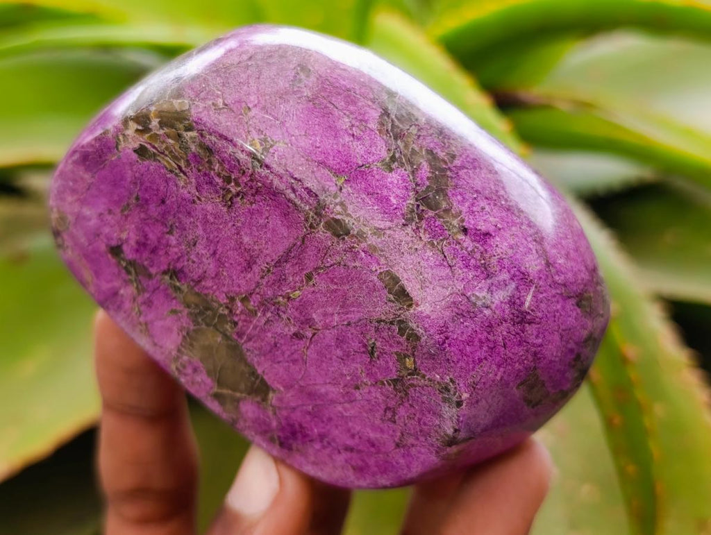 Polished Stichtite Free Forms x 6 From Barberton, South Africa - Toprock Gemstones and Minerals 