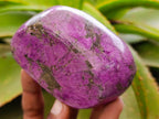 Polished Stichtite Free Forms x 6 From Barberton, South Africa - Toprock Gemstones and Minerals 