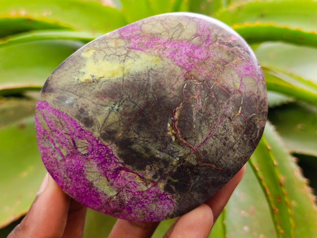 Polished Stichtite Free Forms x 6 From Barberton, South Africa - Toprock Gemstones and Minerals 