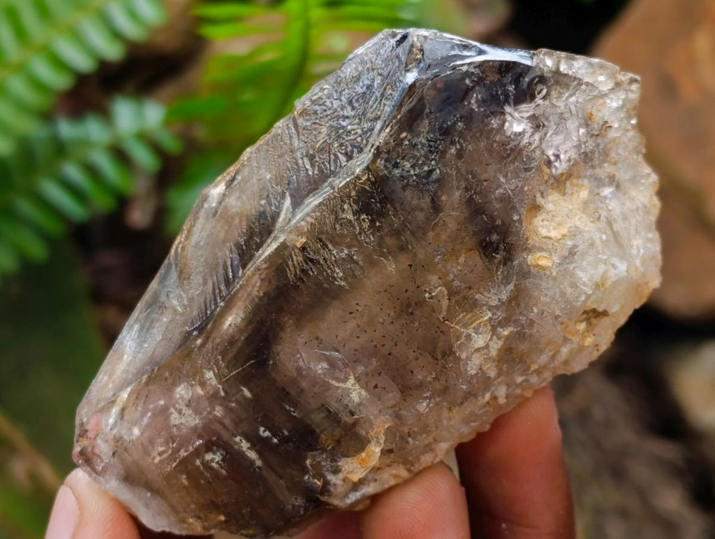 Natural Mix of Window Smokey Quartz and Amethyst Crystals x 32 From Brandberg, Namibia - Toprock Gemstones and Minerals 