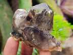 Natural Mix of Window Smokey Quartz and Amethyst Crystals x 32 From Brandberg, Namibia - Toprock Gemstones and Minerals 