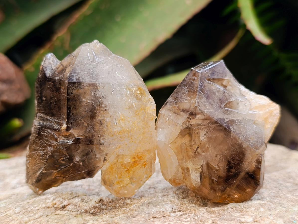 Natural Mix of Window Smokey Quartz and Amethyst Crystals x 32 From Brandberg, Namibia - Toprock Gemstones and Minerals 