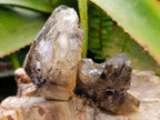 Natural Mix of Window Smokey Quartz and Amethyst Crystals x 32 From Brandberg, Namibia - Toprock Gemstones and Minerals 