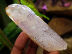 Natural Mix of Window Smokey Quartz and Amethyst Crystals x 32 From Brandberg, Namibia - Toprock Gemstones and Minerals 