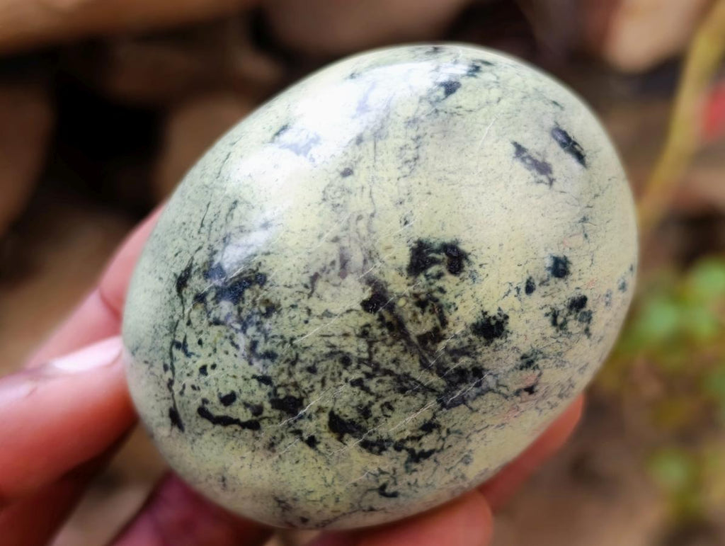 Polished Leopard Stone Free Forms x 24 From Zimbabwe - Toprock Gemstones and Minerals 