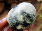Polished Leopard Stone Free Forms x 24 From Zimbabwe - Toprock Gemstones and Minerals 
