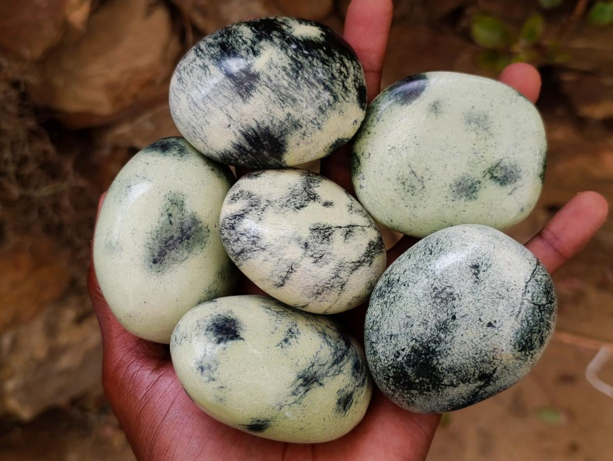 Polished Leopard Stone Free Forms x 24 From Zimbabwe - Toprock Gemstones and Minerals 