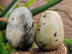 Polished Leopard Stone Free Forms x 24 From Zimbabwe - Toprock Gemstones and Minerals 