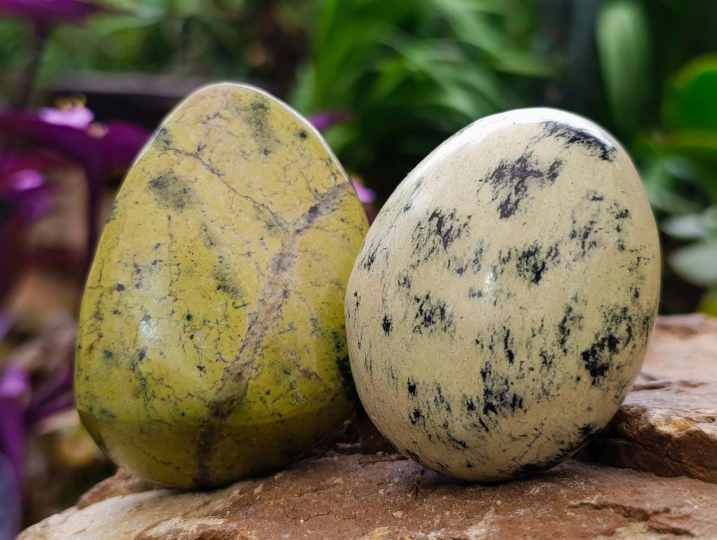Polished Leopard Stone Free Forms x 24 From Zimbabwe - Toprock Gemstones and Minerals 
