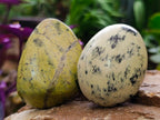 Polished Leopard Stone Free Forms x 24 From Zimbabwe - Toprock Gemstones and Minerals 