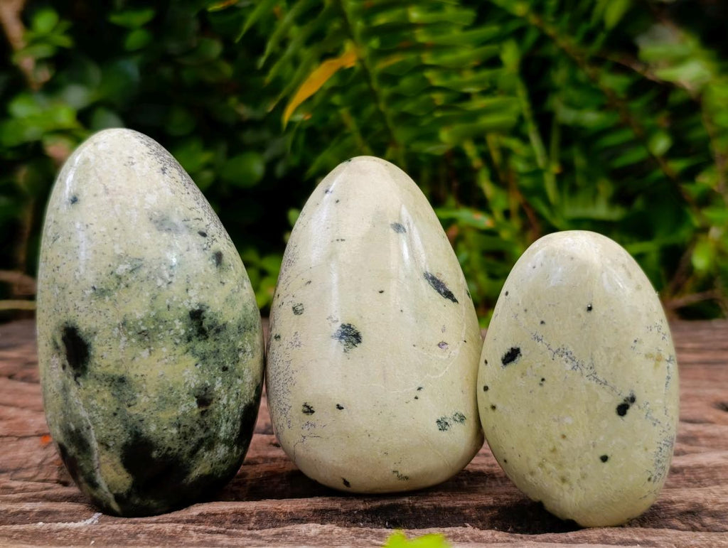 Polished Leopard Stone Free Forms x 24 From Zimbabwe - Toprock Gemstones and Minerals 