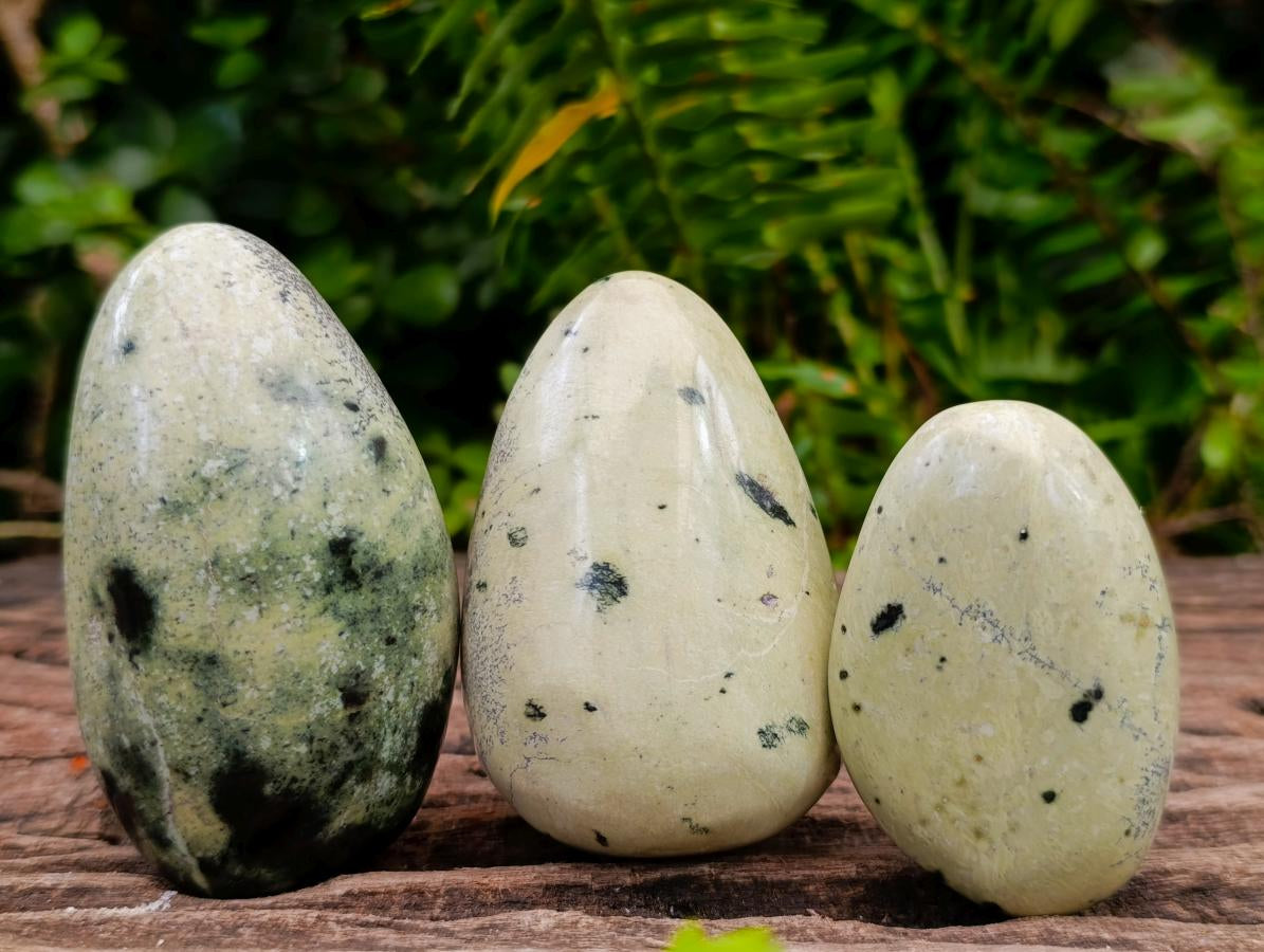 Polished Leopard Stone Free Forms x 24 From Zimbabwe - Toprock Gemstones and Minerals 