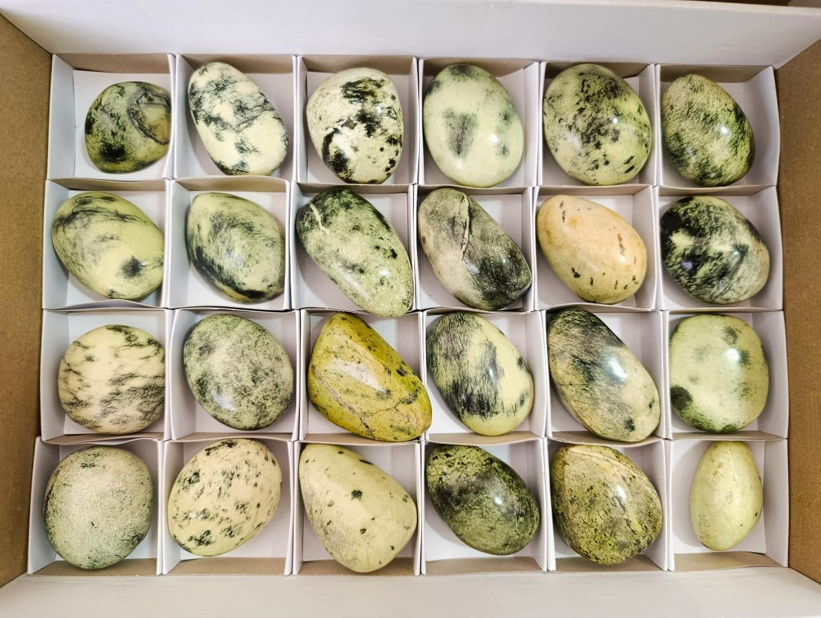 Polished Leopard Stone Free Forms x 24 From Zimbabwe - Toprock Gemstones and Minerals 