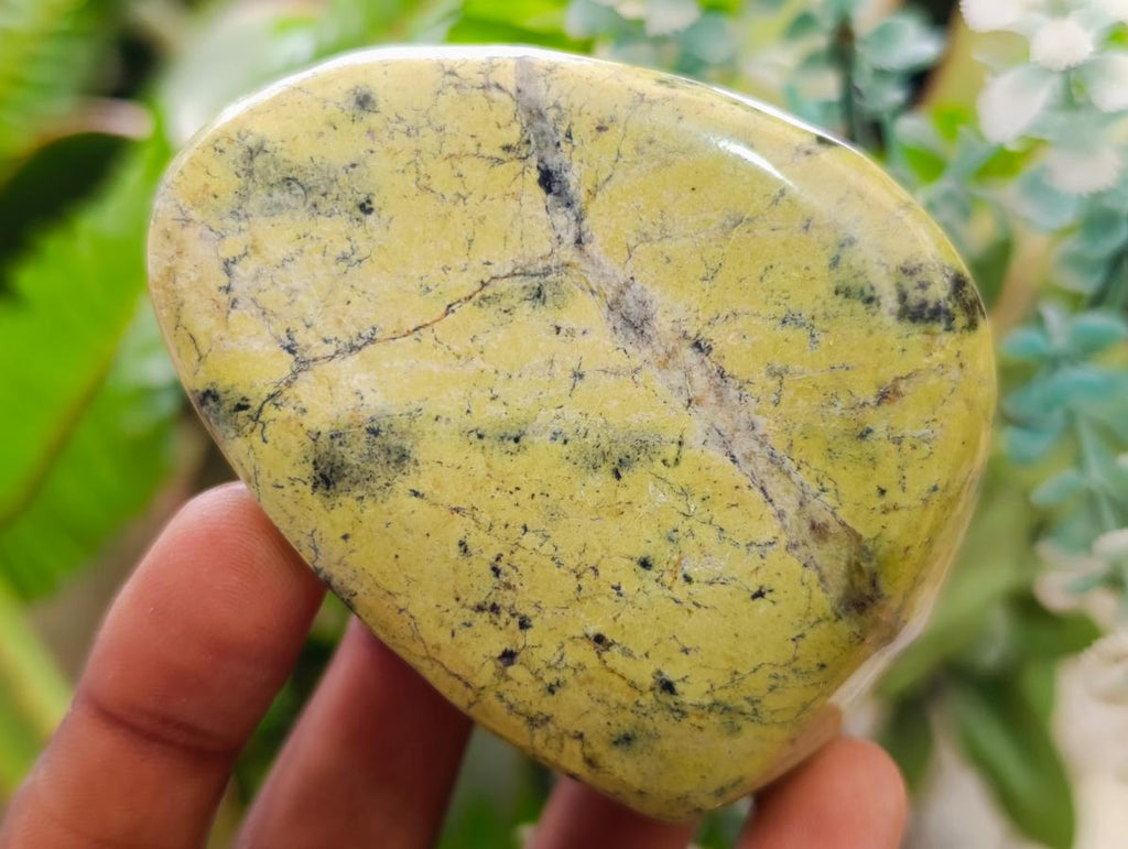 Polished Leopard Stone Free Forms x 24 From Zimbabwe - Toprock Gemstones and Minerals 