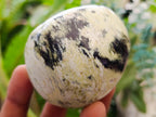 Polished Leopard Stone Free Forms x 24 From Zimbabwe - Toprock Gemstones and Minerals 