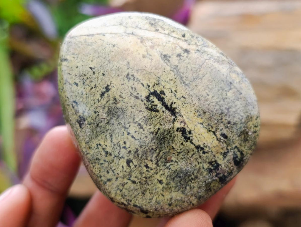 Polished Leopard Stone Free Forms x 24 From Zimbabwe - Toprock Gemstones and Minerals 