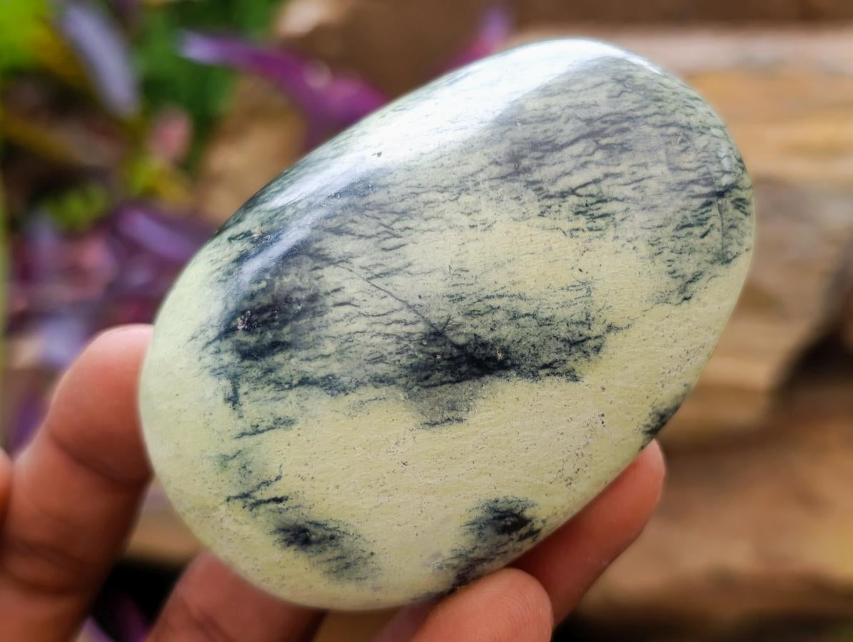 Polished Leopard Stone Free Forms x 24 From Zimbabwe - Toprock Gemstones and Minerals 