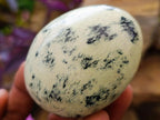 Polished Leopard Stone Free Forms x 24 From Zimbabwe - Toprock Gemstones and Minerals 