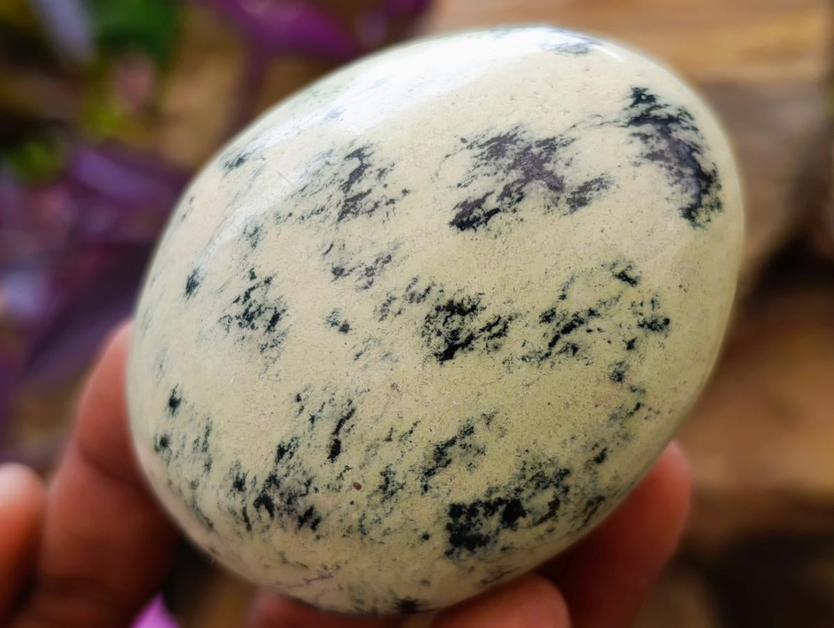 Polished Leopard Stone Free Forms x 24 From Zimbabwe - Toprock Gemstones and Minerals 