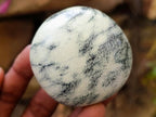 Polished Leopard Stone Free Forms x 24 From Zimbabwe - Toprock Gemstones and Minerals 