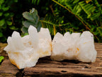 Natural Cascading "Anananas" Candle Quartz Clusters x 12 From Antsirabe, Madagascar - Toprock Gemstones and Minerals 