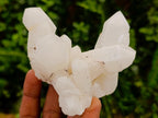 Natural Cascading "Anananas" Candle Quartz Clusters x 12 From Antsirabe, Madagascar - Toprock Gemstones and Minerals 