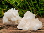 Natural Cascading "Anananas" Candle Quartz Clusters x 12 From Antsirabe, Madagascar - Toprock Gemstones and Minerals 