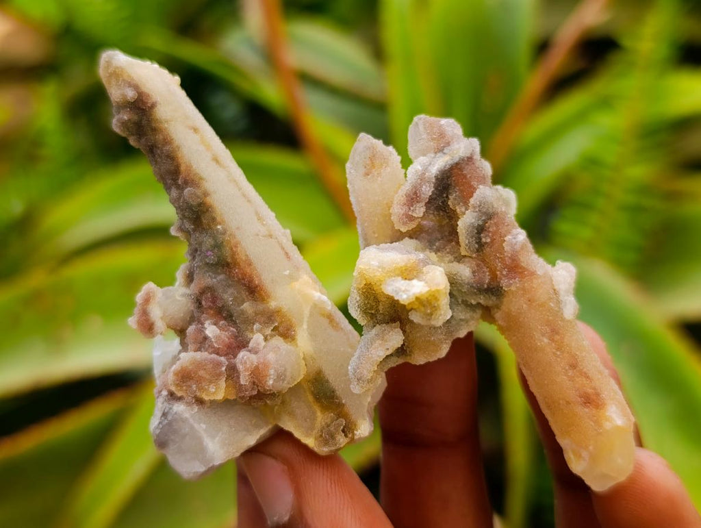 Natural Drusy Fairy Spirit Quartz Single Finger Crystals x 70 From Boekenhouthoek, South Africa - Toprock Gemstones and Minerals 
