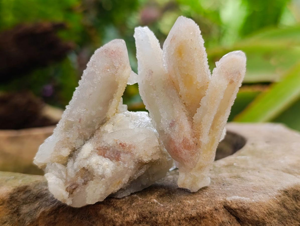 Natural Drusy Fairy Spirit Quartz Single Finger Crystals x 70 From Boekenhouthoek, South Africa - Toprock Gemstones and Minerals 