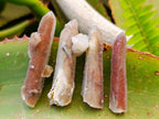 Natural Drusy Fairy Spirit Quartz Single Finger Crystals x 70 From Boekenhouthoek, South Africa - Toprock Gemstones and Minerals 