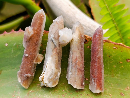 Natural Drusy Fairy Spirit Quartz Single Finger Crystals x 70 From Boekenhouthoek, South Africa - Toprock Gemstones and Minerals 