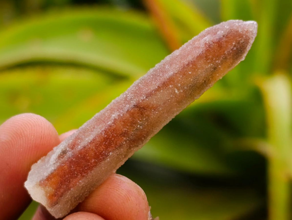 Natural Drusy Fairy Spirit Quartz Single Finger Crystals x 70 From Boekenhouthoek, South Africa - Toprock Gemstones and Minerals 