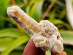Natural Drusy Fairy Spirit Quartz Single Finger Crystals x 70 From Boekenhouthoek, South Africa - Toprock Gemstones and Minerals 