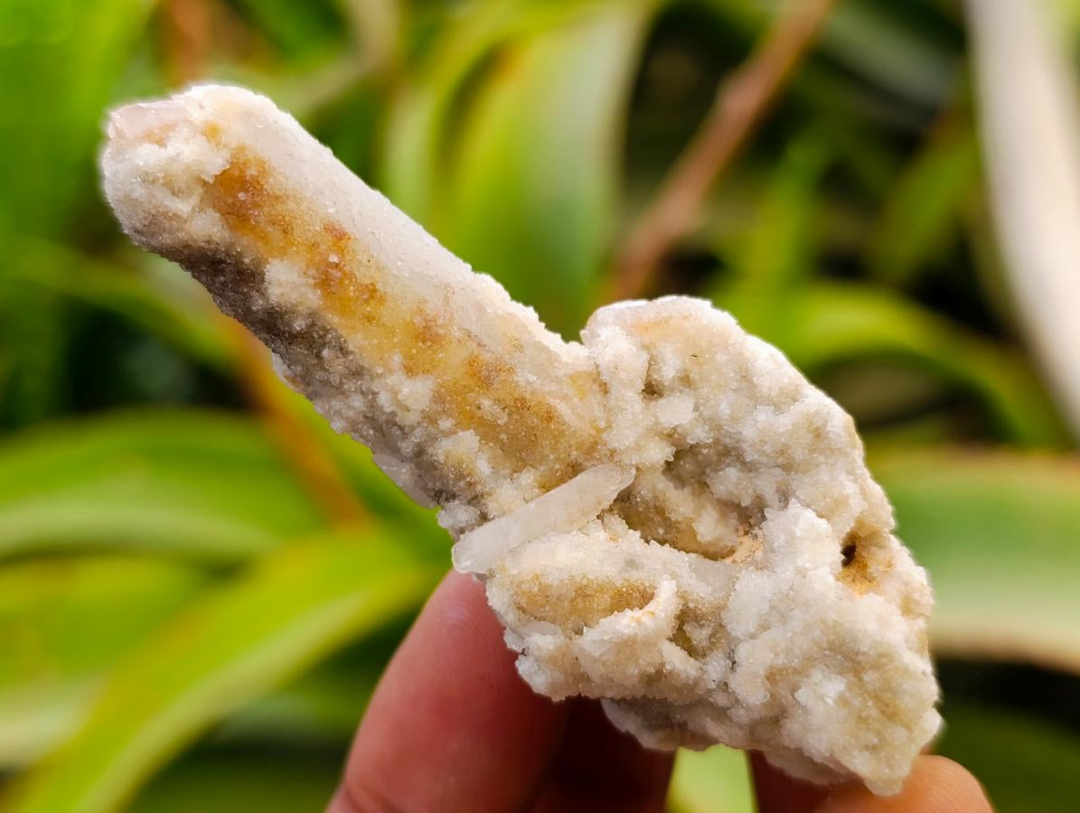 Natural Drusy Fairy Spirit Quartz Single Finger Crystals x 70 From Boekenhouthoek, South Africa - Toprock Gemstones and Minerals 