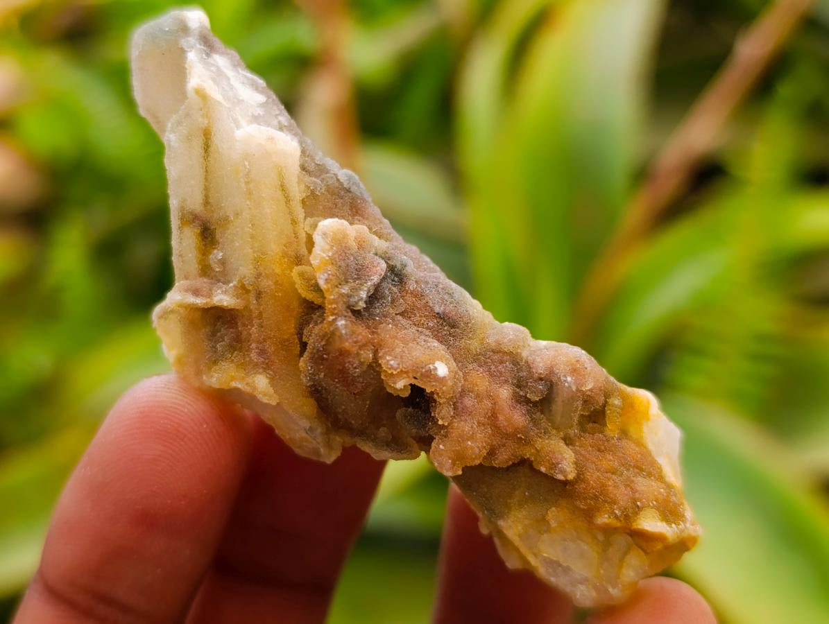 Natural Drusy Fairy Spirit Quartz Single Finger Crystals x 70 From Boekenhouthoek, South Africa - Toprock Gemstones and Minerals 