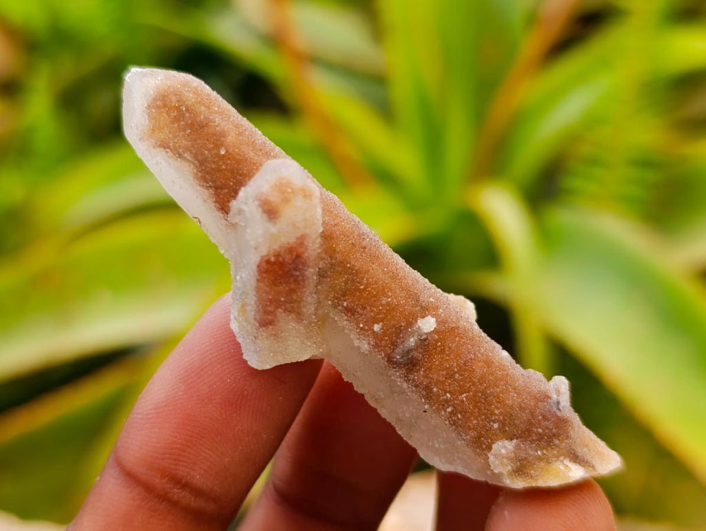 Natural Drusy Fairy Spirit Quartz Single Finger Crystals x 70 From Boekenhouthoek, South Africa - Toprock Gemstones and Minerals 