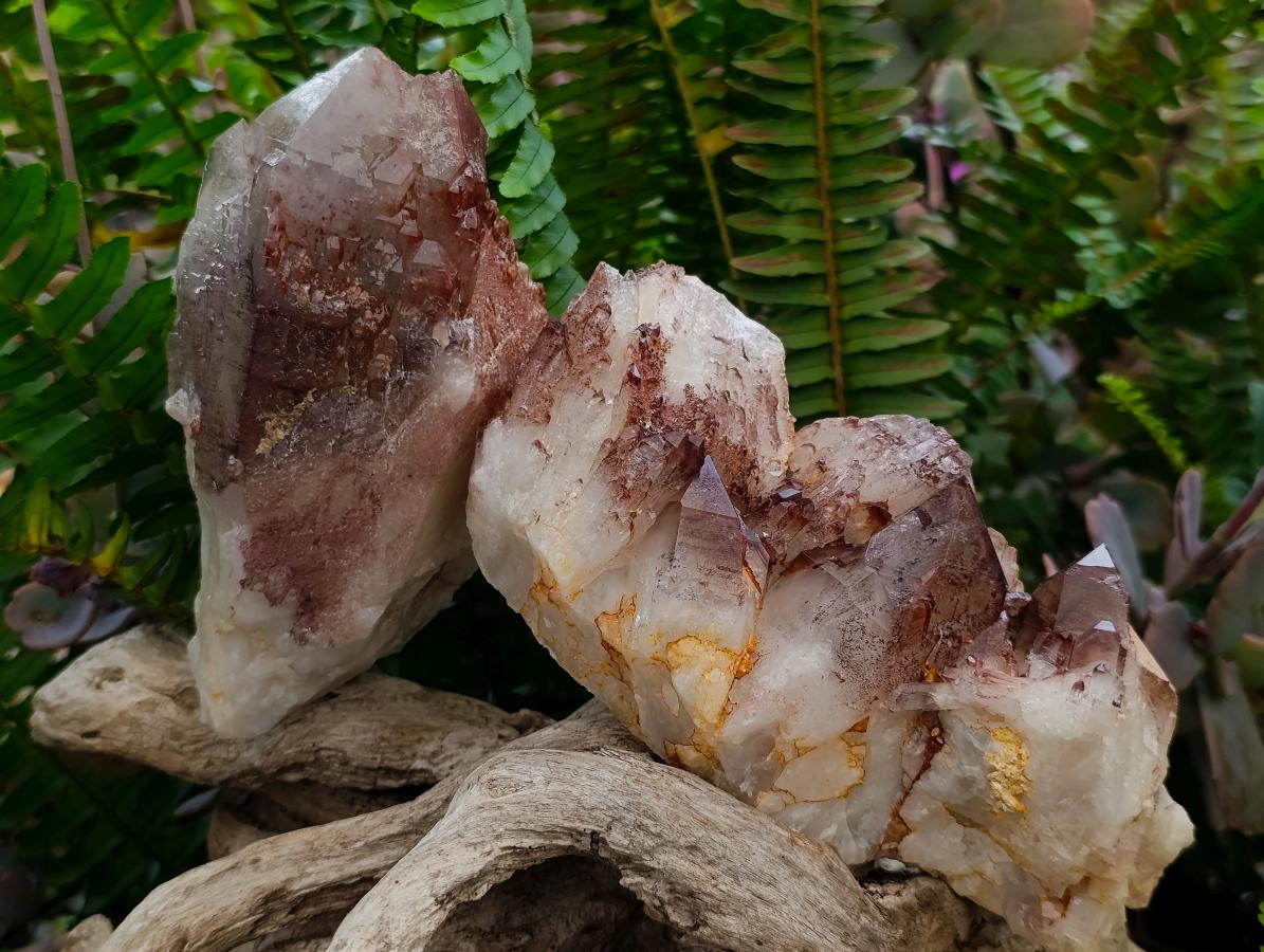 Natural Red Hematoid Quartz Crystal and Clusters x 4 From Karoi, Zimbabwe - Toprock Gemstones and Minerals 