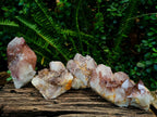 Natural Red Hematoid Quartz Crystal and Clusters x 4 From Karoi, Zimbabwe - Toprock Gemstones and Minerals 