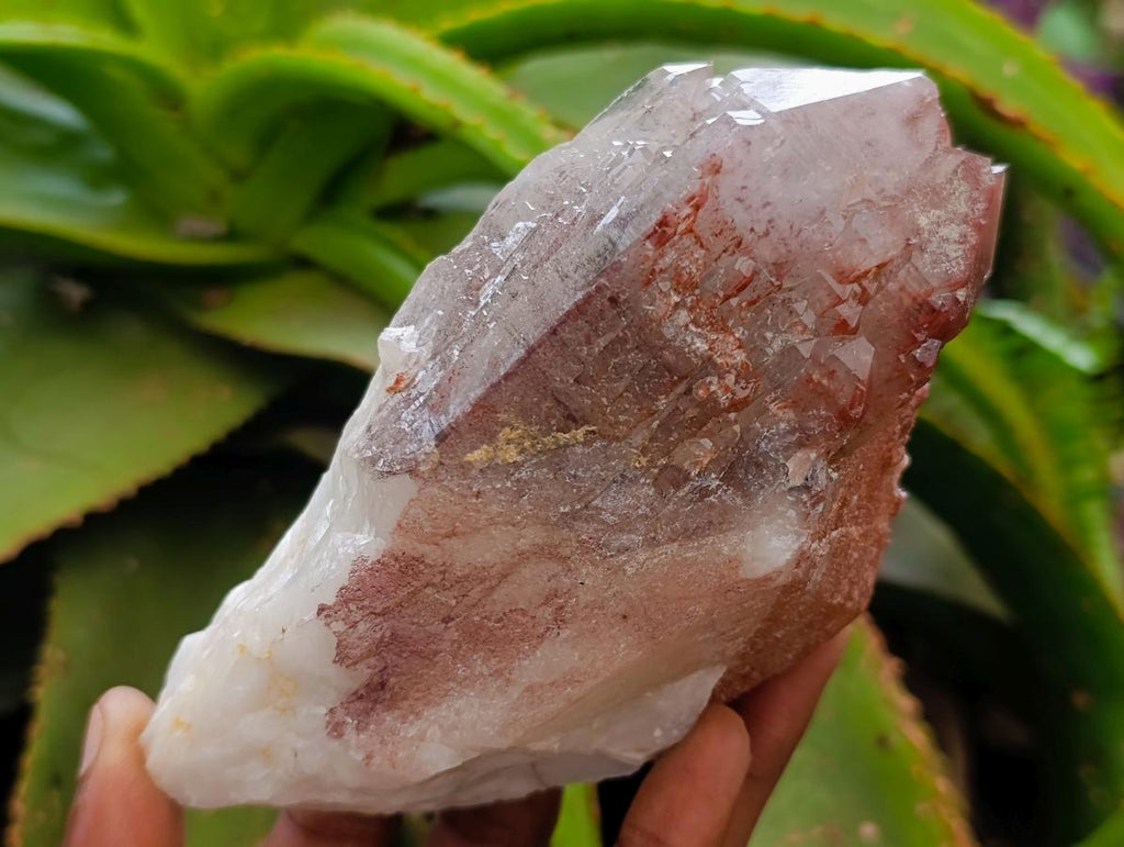 Natural Red Hematoid Quartz Crystal and Clusters x 4 From Karoi, Zimbabwe - Toprock Gemstones and Minerals 
