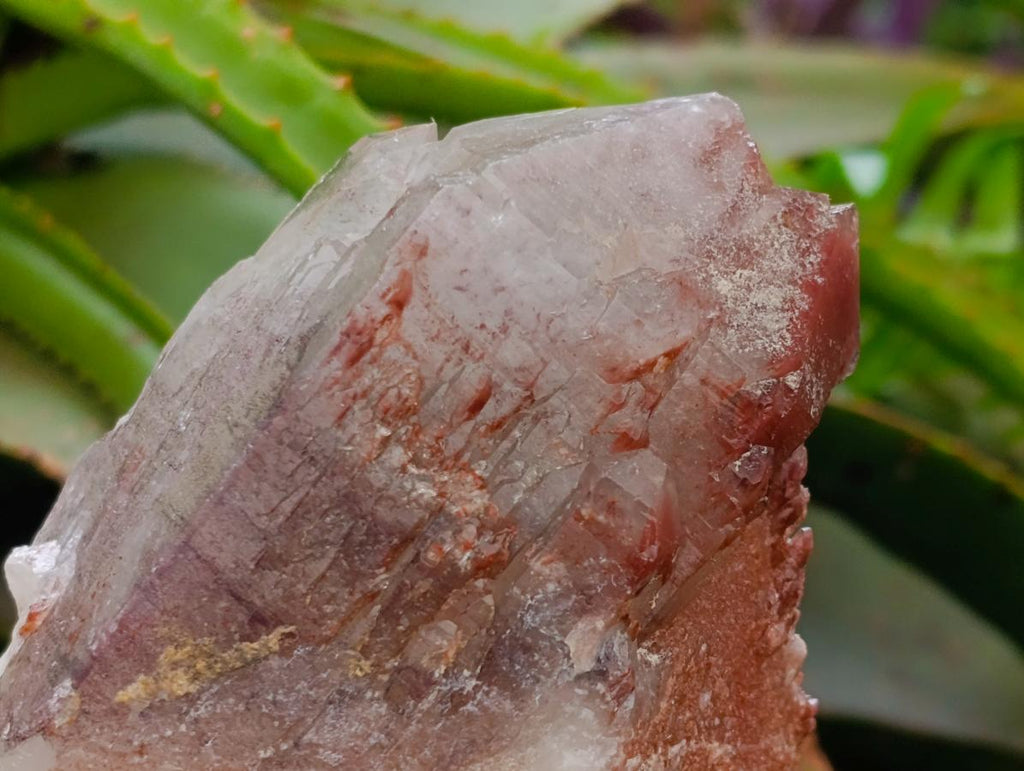 Natural Red Hematoid Quartz Crystal and Clusters x 4 From Karoi, Zimbabwe - Toprock Gemstones and Minerals 
