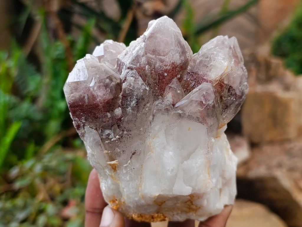 Natural Red Hematoid Quartz Crystal and Clusters x 4 From Karoi, Zimbabwe - Toprock Gemstones and Minerals 