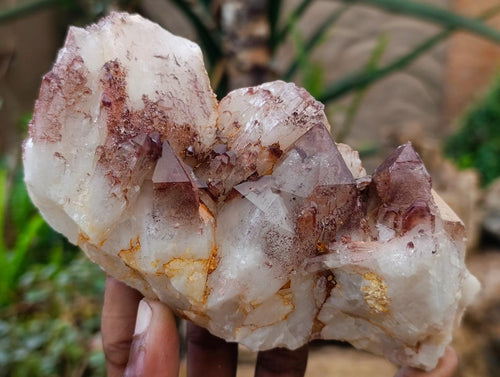 Natural Red Hematoid Quartz Crystal and Clusters x 4 From Karoi, Zimbabwe - Toprock Gemstones and Minerals 