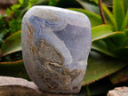 Polished and Natural Blue Lace Agate Standing Display Pieces x 2 From Nsanje, Malawi - Toprock Gemstones and Minerals 