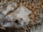 Natural Large Rhombohedral Calcite Specimen with Phosphorus Aragonite x 1 From Albert's Mountain, Lesotho - Toprock Gemstones and Minerals 