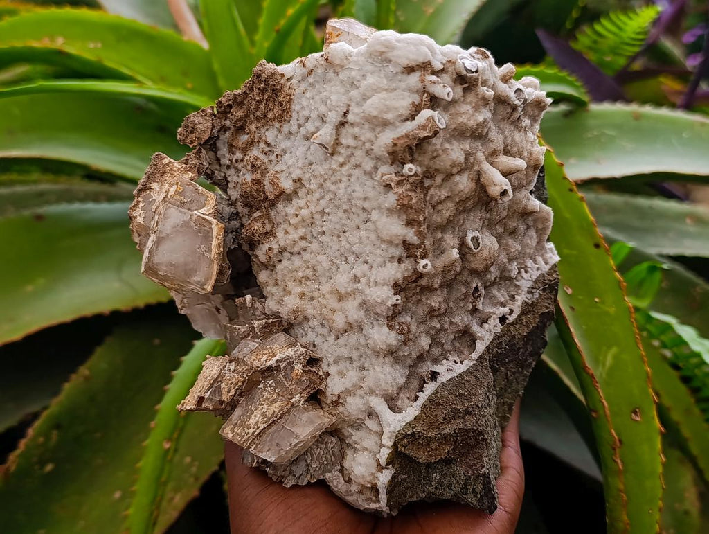 Natural Large Rhombohedral Calcite Specimen with Phosphorus Aragonite x 1 From Albert's Mountain, Lesotho - Toprock Gemstones and Minerals 